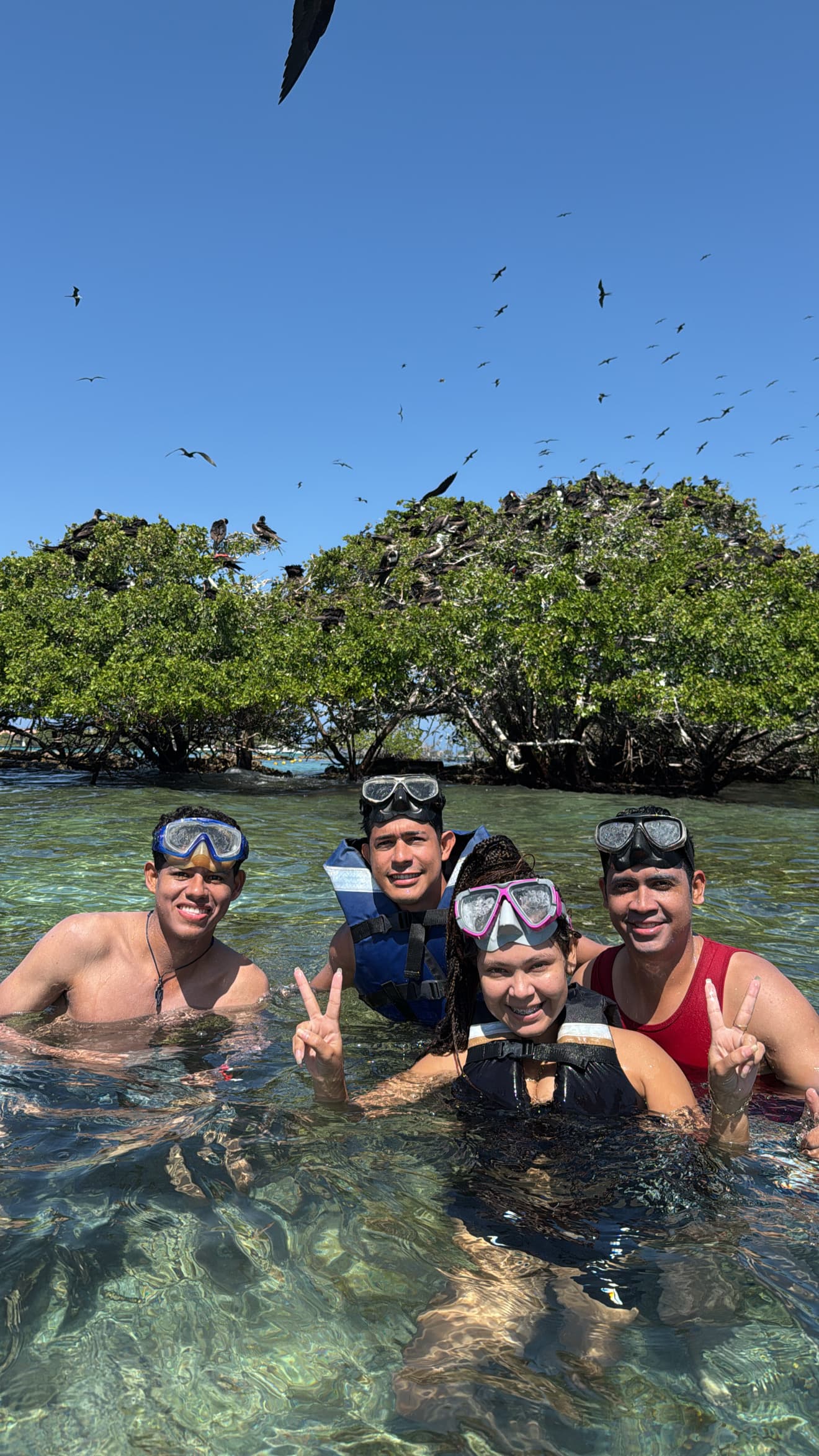 Grupo de turistas haciendo snorkel en las aguas turquesas de las Islas del Rosario